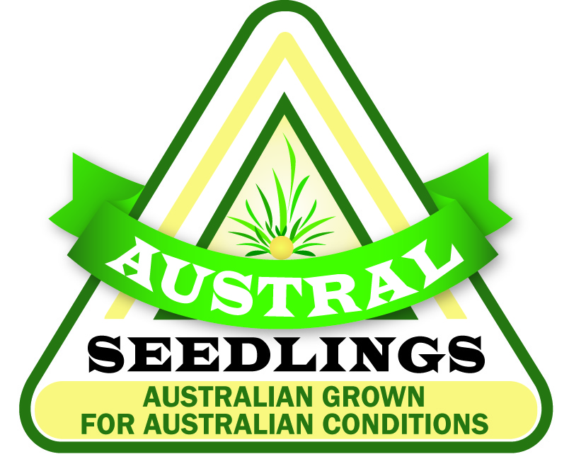 Austral Seedlings