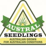 Logo in JPEG resized