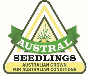Austral Seedlings
