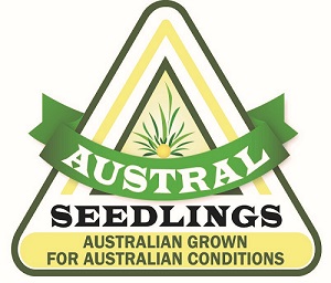 Austral Seedlings