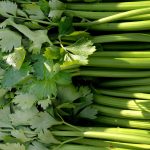 celery