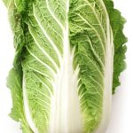 Won Bok-cabbage